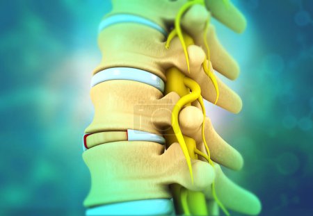 Foto de Espina dorsal humana, anatomía de vértebras en el fondo científico. ilustración 3d - Imagen libre de derechos