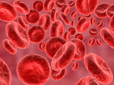 Photo for Red blood cells streaming. 3d render - Royalty Free Image