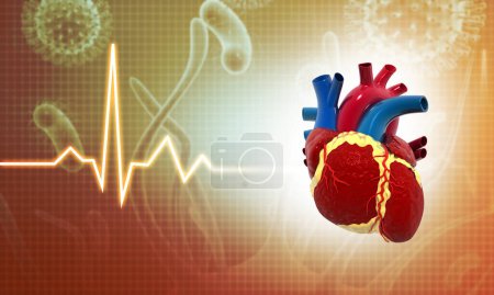 Téléchargez les photos : Anatomie cardiaque humaine sur fond médical. coeur avec ecg graphique. Illustration 3d - en image libre de droit