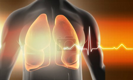 Foto de Cuerpo humano con anatomía pulmonar. ilustración 3d - Imagen libre de derechos