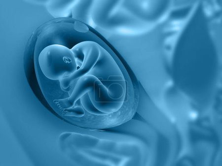 Photo for Fetus in womb. 3d illustration - Royalty Free Image