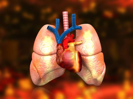 Téléchargez les photos : Système respiratoire humain sur fond médical. Illustration 3d - en image libre de droit