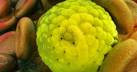 Téléchargez les photos : Vue microscopique du coronavirus mortel. Illustration 3d - en image libre de droit