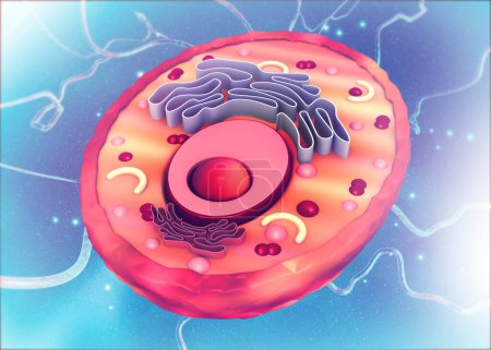 Photo for Cell anatomy on scientific background. 3d illustration - Royalty Free Image