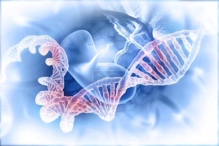 Photo for Fetus and dna  on abstract scientific background. 3d illustration - Royalty Free Image
