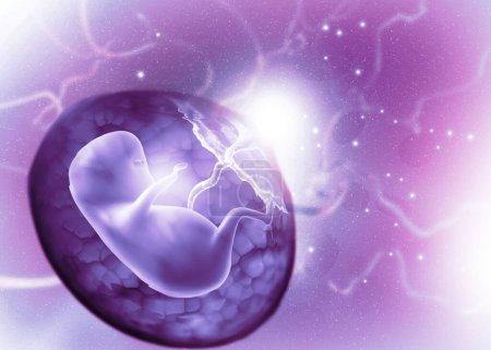 Photo for Fetus on abstract scientific background. 3d illustration - Royalty Free Image