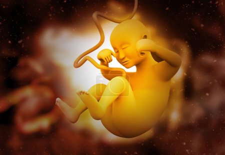 Téléchargez les photos : Anatomie du foetus. science de fond. Illustration 3d - en image libre de droit