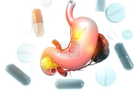 Téléchargez les photos : Anatomie de l'estomac humain avec des médicaments. science de fond. Illustration 3d - en image libre de droit
