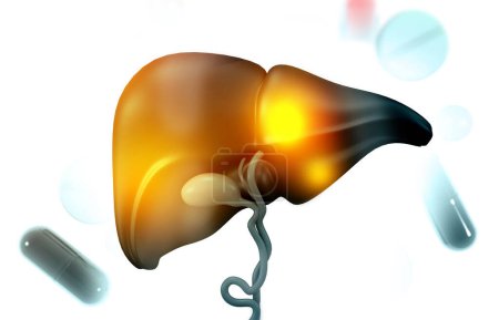 Foto de Anatomía del hígado humano con píldoras medicinales. antecedentes científicos. ilustración 3d - Imagen libre de derechos