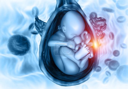Téléchargez les photos : Foetus dans l'utérus Anatomie. science de fond. Illustration 3d - en image libre de droit