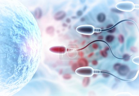 Téléchargez les photos : Les CEggs choisissent le sperme, la fécondation. Illustration 3d - en image libre de droit