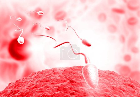 Photo for CEggs choose sperm, fertilization. 3d illustration - Royalty Free Image