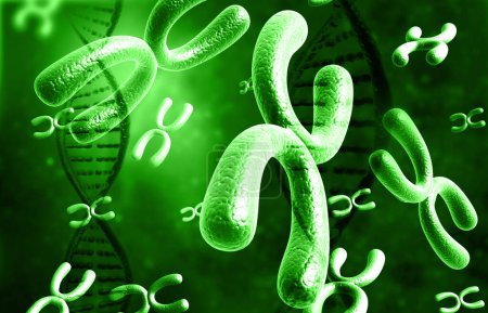 Foto de Moléculas y cromosomas de ADN, ilustración 3d - Imagen libre de derechos