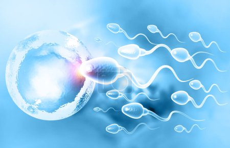 Foto de Los huevos eligen esperma, fertilización. ilustración 3d - Imagen libre de derechos