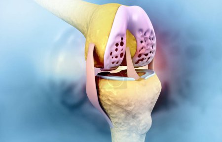 Photo for Human knee problem . knee joint. 3d illustration - Royalty Free Image