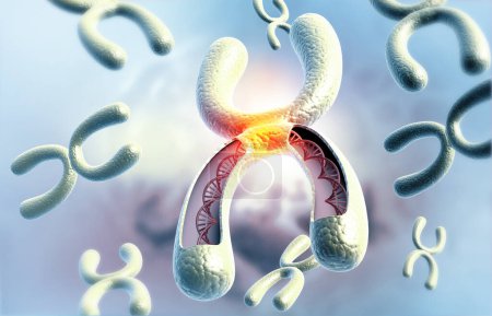 Foto de Cromosoma x con hebra de ADN. ilustración 3d - Imagen libre de derechos