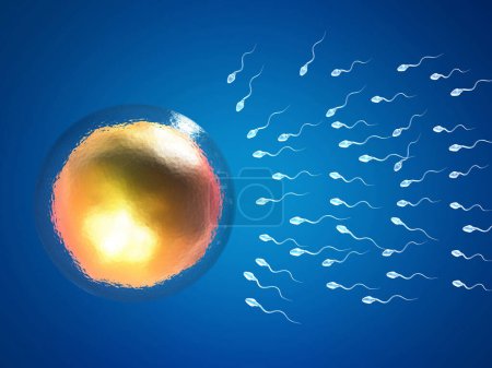 Photo for Eggs choose sperm, fertilization. 3d illustration - Royalty Free Image