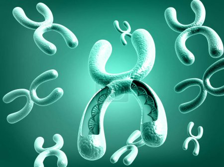 Foto de Cromosoma sobre antecedentes médicos. ilustración 3d - Imagen libre de derechos