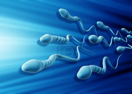 Photo for Human Sperm cells. 3d illustration - Royalty Free Image