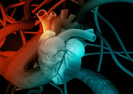 Téléchargez les photos : Anatomie du cœur humain sur fond abstrait. Illustration 3d - en image libre de droit