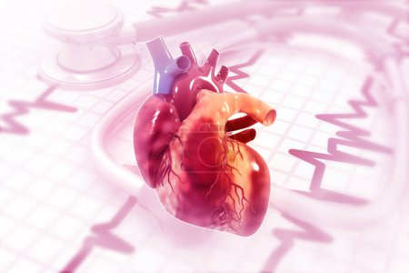 Téléchargez les photos : Anatomie cardiaque humaine sur fond de graphique ecg. Illustration 3d - en image libre de droit