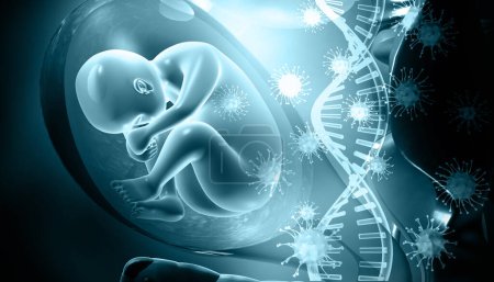 Photo for Human fetus with virus infected dna strand. 3d illustration - Royalty Free Image