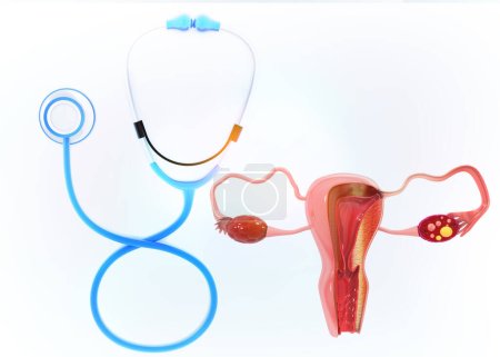Téléchargez les photos : Organe reproducteur femelle avec stéthoscope sur fond blanc. Illustration 3d - en image libre de droit