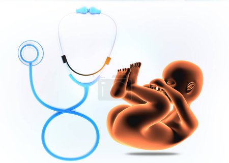 Photo for Human fetus with stethoscope on white background. 3d illustration - Royalty Free Image