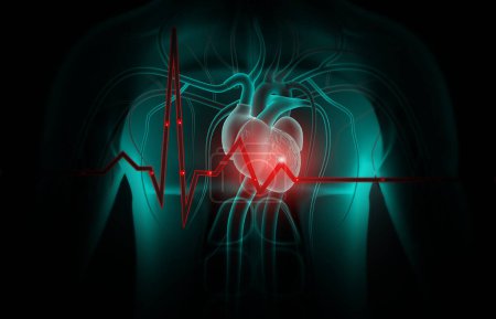 Foto de Gráfico Ecg con corazón humano. ilustración 3d - Imagen libre de derechos