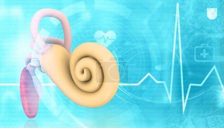 Foto de Cóclea del oído humano en el fondo médico. ilustración 3d - Imagen libre de derechos
