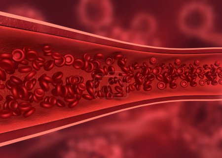 Foto de Glóbulos rojos en la vena humana.3d ilustración - Imagen libre de derechos