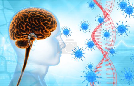 Foto de ADN y virus con anatomía cerebral humana. ilustración 3d - Imagen libre de derechos