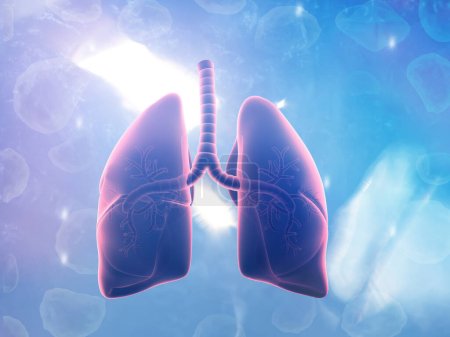Téléchargez les photos : Anatomie pulmonaire humaine sur fond scientifique. Illustration 3d - en image libre de droit