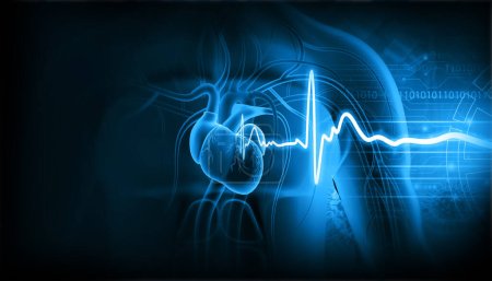 Menschliches Herz mit Ekg-Graph. 3D-Illustration