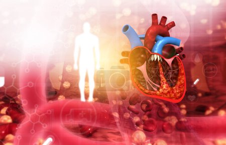 Téléchargez les photos : Coupe transversale du cœur humain sur fond médical abstrait. Illustration 3d - en image libre de droit