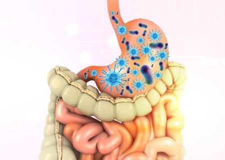 Téléchargez les photos : Bactéries, virus dans le système digestif. Illustration 3d - en image libre de droit