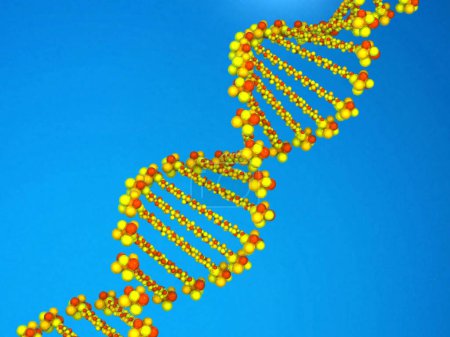 Photo for DNA molecule scientific background. 3d illustration - Royalty Free Image
