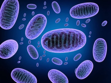 Foto de Microscopic view of bacteria. 3d illustration - Imagen libre de derechos