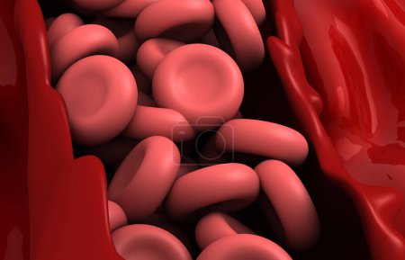 Photo for Red blood cells. 3d illustration - Royalty Free Image