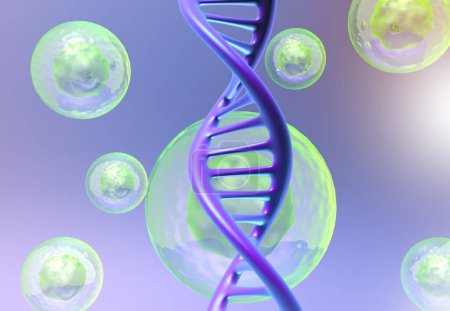 Téléchargez les photos : Cellule humaine et ADN. Illustration 3d - en image libre de droit