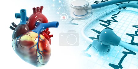 Téléchargez les photos : Coeur humain sur fond médical. Illustration 3d - en image libre de droit