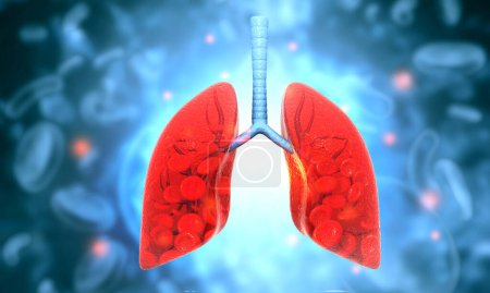 Foto de Anatomía de los pulmones humanos. ilustración 3d - Imagen libre de derechos