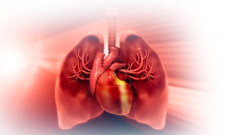 Téléchargez les photos : Anatomie du système respiratoire humain. Illustration 3d - en image libre de droit