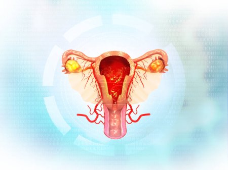 Téléchargez les photos : Utérus féminin sur fond scientifique. Illustration 3d - en image libre de droit