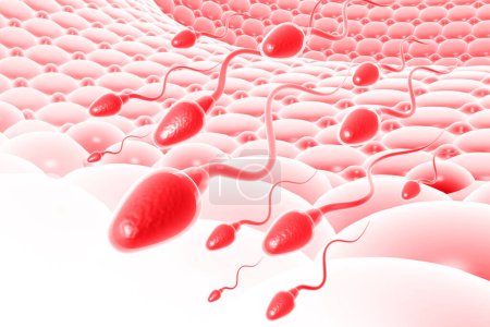 Photo for Human sperm cells moving.3d illustration - Royalty Free Image
