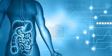 Téléchargez les photos : Anatomie du système digestif humain sur fond scientifique. Illustration 3d - en image libre de droit