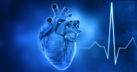 Téléchargez les photos : Anatomie cardiaque humaine sur fond bleu. Illustration 3d - en image libre de droit