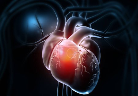 Téléchargez les photos : Coeur humain avec graphique ECG. Illustration 3d - en image libre de droit