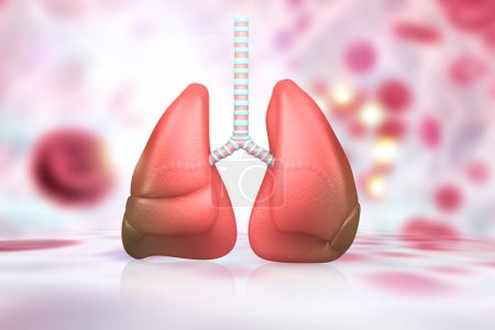 Téléchargez les photos : Anatomie pulmonaire du système respiratoire humain. Illustration 3D - en image libre de droit