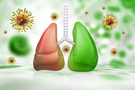 Téléchargez les photos : Anatomie pulmonaire du système respiratoire humain en arrière-plan du virus. Illustration 3d - en image libre de droit